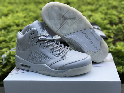 Air Jordan 5 Pure Platinum