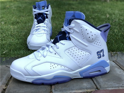 Air Jordan 6 University