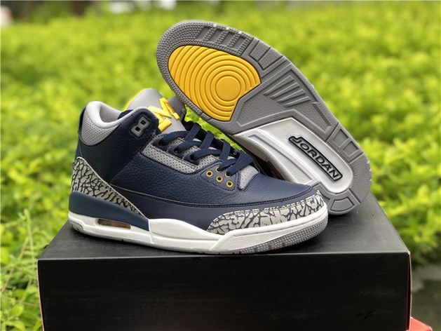 Air Jordan 3 Michigan PE