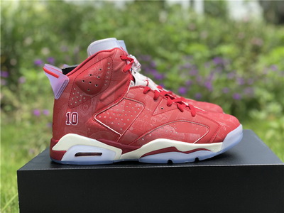 Air Jordan 6 “Slam Dunk”