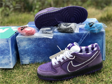 Nike Dunk SB(women)-001