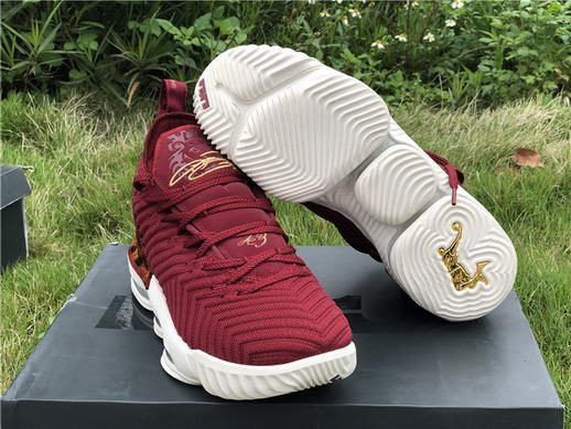 Authentci Lebron XVI LMTD EP-008