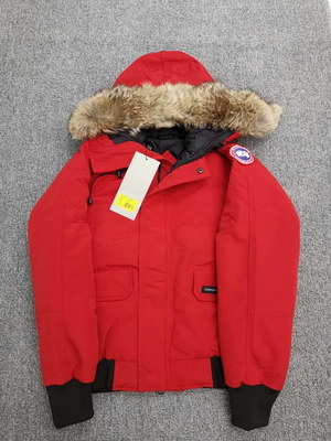 Canada Goose Coat-01-124