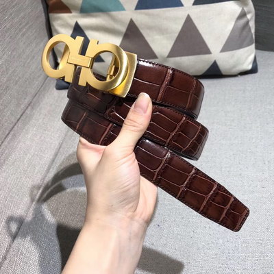 Ferragamo Belts(AAAAA)-165