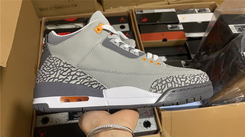 Air Jordan 3``Cool Gray''