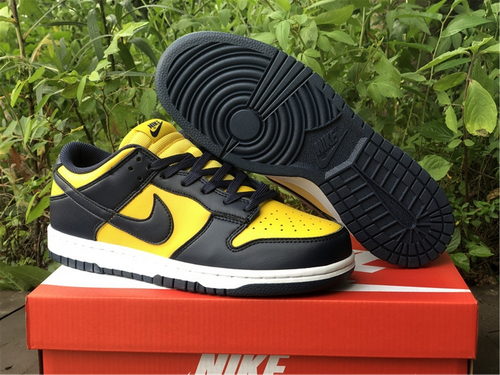 Nike SB Dunk Low-066