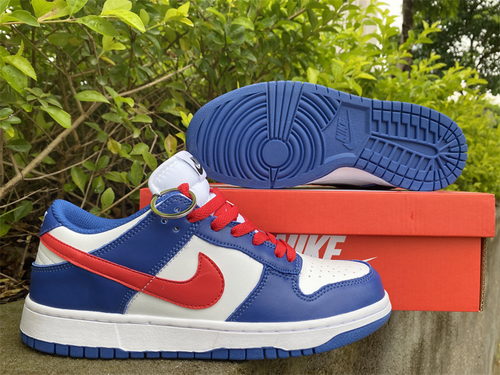 Nike SB Dunk Low-080