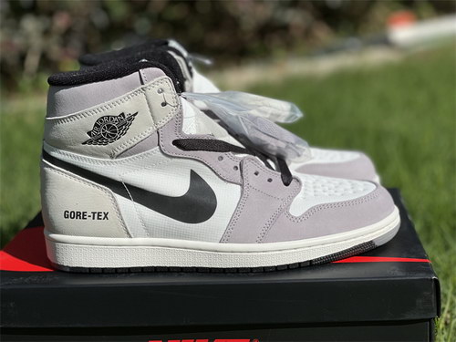 Air Jordan 1 Element&Gore-Tex “Light Bone”