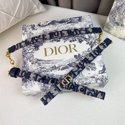 Dior Belts Women(AAAAA)-073