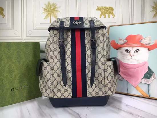 Gucci Backpack(AAA)-044