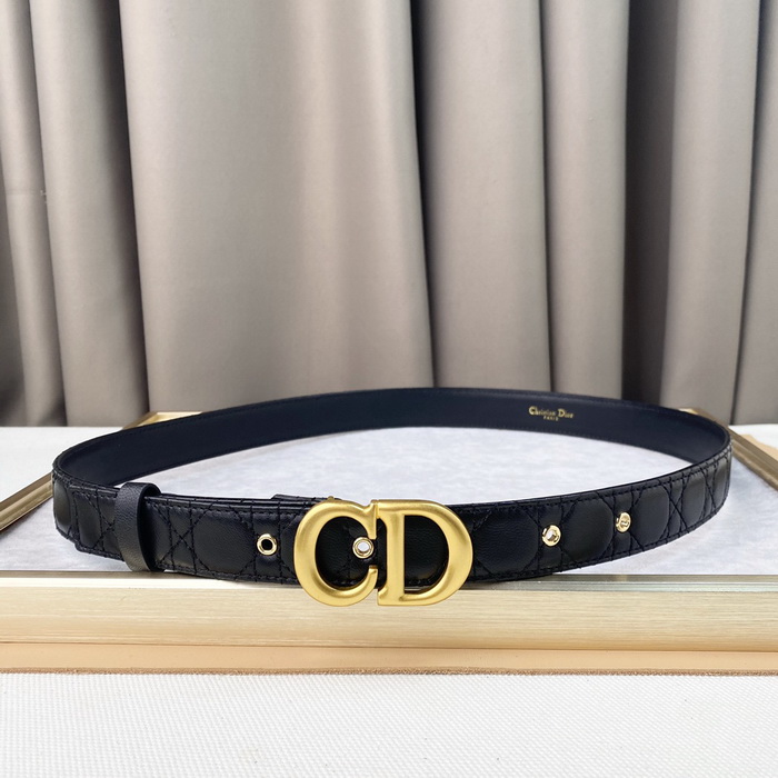 Dior Belts(AAAAA)-173