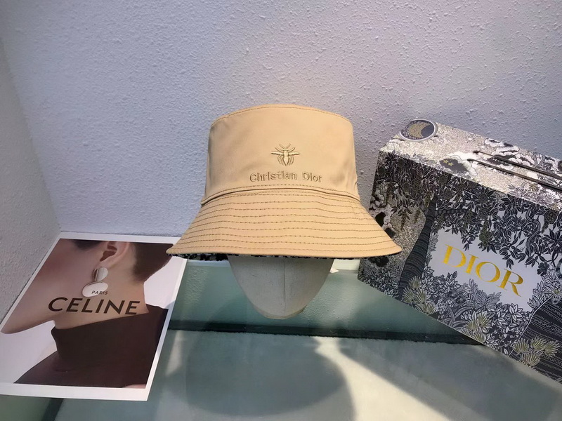 Dior Cap-084