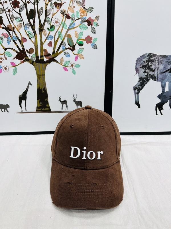 Dior Cap-317