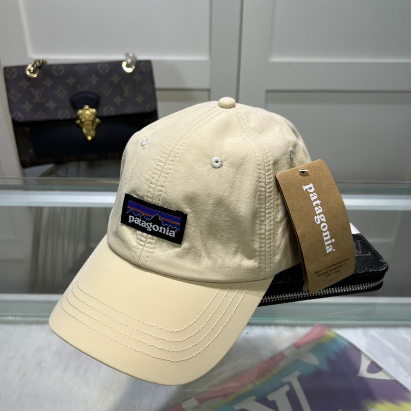 Patagonia Cap-003