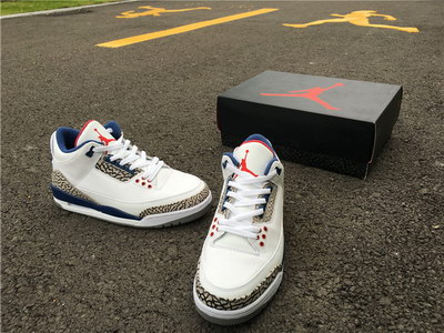 Air Jordan 3 OG True Blue